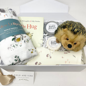 The Little Hedgehog Hug